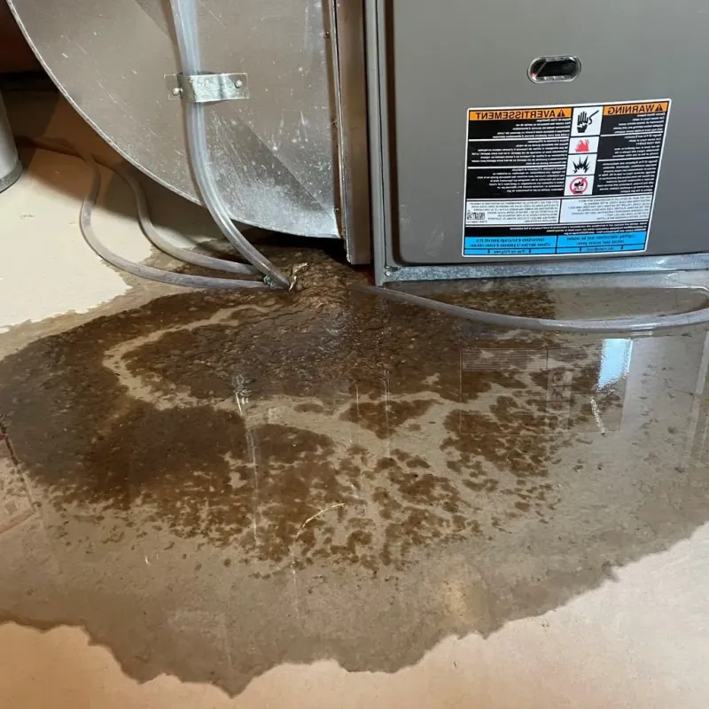 Pipe Burst and Leak Restoration in Alta, IA